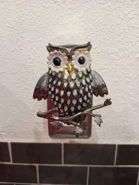 Bath & Body Works 667547599499 And Owl On Branch Sparkly Nightlight Wallflower Plug