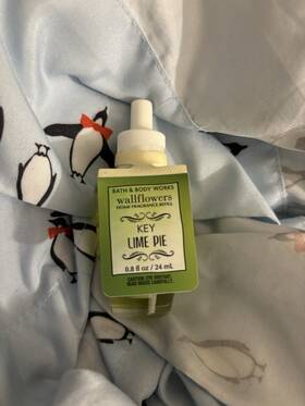 Bath & Body Works 667549369939 And Key Lime Pie Wallflower Refill Bulb 0.8 Oz Very Rare