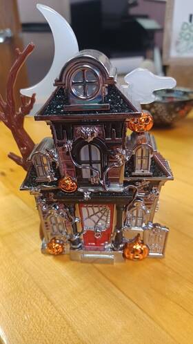 Bath & Body Works 667550129713 Haunted House Halloween Wallflower Spider Web And Plug In Light Up