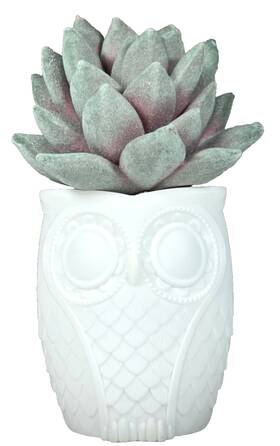 Bath & Body Works 667553322173 New White Owl Planter With Succulent Wallflower And Plug In Unlit
