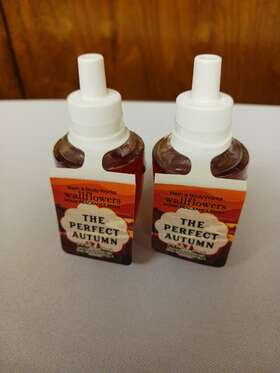 Bath & Body Works 667553733436 New And The Perfect Autumn Wallflowers Fragrance Refill X2