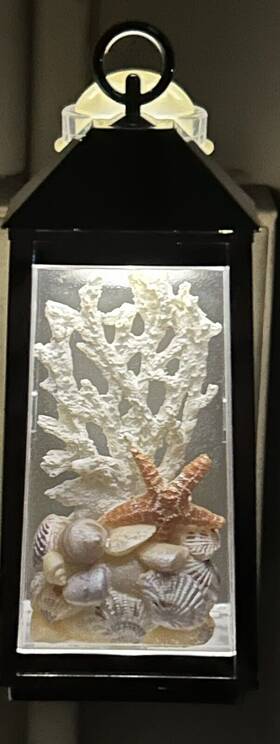 Bath & Body Works 667553878199 And Wallflower Starfish Seashell Beach Lantern Nightlight Plug In