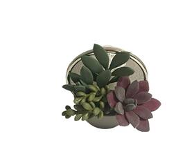 Bath & Body Works 667556054187 And Succulent Wallflower Scent Control Light Up Fragrance Plug
