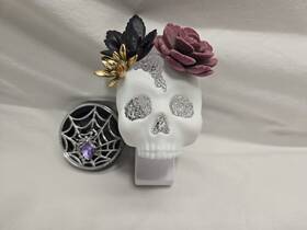 Bath & Body Works 667556615722 Skull Halloween Wallflower Nightlight Plug In And Spiderweb Car