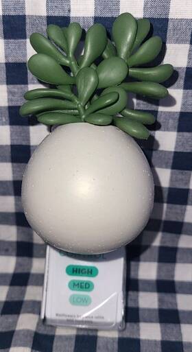 Bath & Body Works 667557984360 All New Succulent Planter Wallflower Scent Control Plug-in And