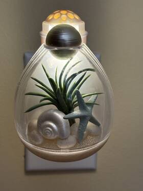 Bath & Body Works 667557985206 Shell Coastal Terrarium Night Light Up Wallflower Fragrance Plug