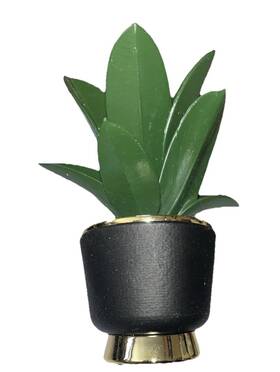 Bath & Body Works 667558200087 And Succulent House Plant Wallflowers Home Fragrance Plug In New