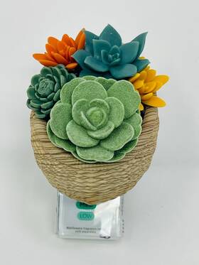 Bath & Body Works 667559262770 And Succulent Wall Basket Wallflower Scent Control Fragrance Plug