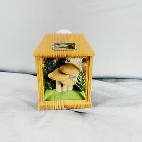 Bath & Body Works 667559264644 Nwt And Mushroom Terranium Wallflower Plug-nightlight