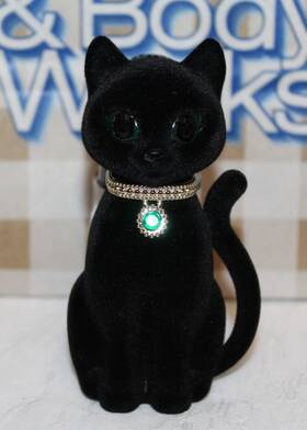 Bath & Body Works 667559295501 And Halloween 2024 Black Cat Wallflower Night Light Plug In New