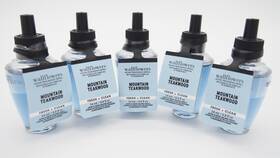 Bath & Body Works 667659321858 10 Mountain Teakwood Fresh Clean Wallflower Refill Bulb 0.8oz