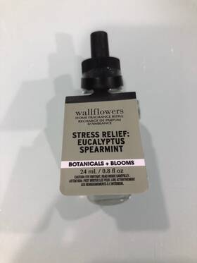 Bath & Body Works 667659329731 And Wallflowers Eucalyptus Spearmint Fragrance Refill