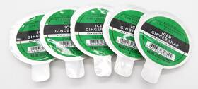 Bath & Body Works 667659340545 5 And Green Iced Ginger Snap Car Scentportable Refill New 0.2oz