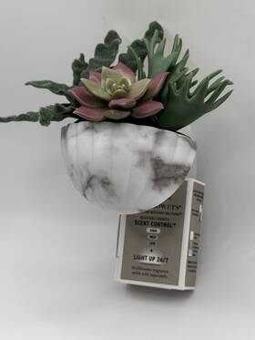 Bath & Body Works 667659356805 And Work Succulent Planter Wallflower Fragrance Light Up 24/7 Plug In