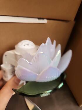 Bath & Body Works 667659361434 All New Tiana Disney Wallflower S.c. Nightlight Plug-in And