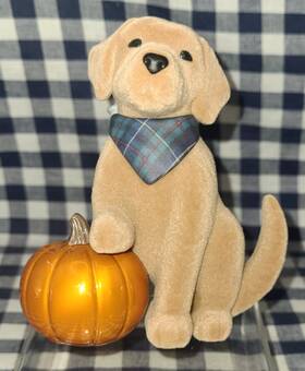 Bath & Body Works 667659373741 All New Dog With Pumpkin Wallflower Scent Control Plug-in And