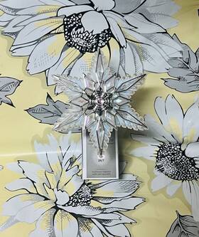 Bath & Body Works 667659399260 And Iridescent Snowflake Light Up Wallflowers Plug