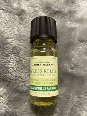 Bath & Body Works 67725823 And Stress Relief Fragrance Oil Eucalyptus Spearmint Slatkin