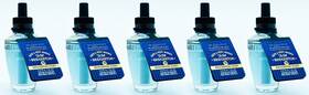 76767 Bath & Body Works 5 Bridgerton Study Wallflower Home Scent Oil Refill Bulb