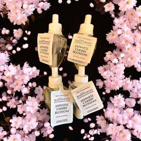 9082e Bath & Body Works 4 And Japanese Cherry Blossom Wallflowers Refill Bulbs