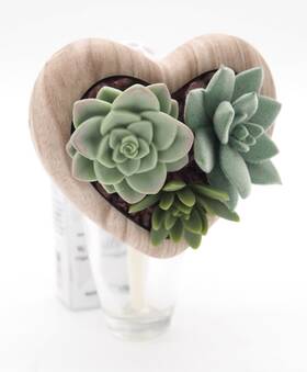 Bath & Body Works Home 667556057348 1 And Heart Succulent Garden Wallflower Plugin New