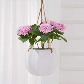 Bh10-093-799-25 Better Homes & Gardens And Pottery 8 Inch Mylia Ceramic Hanging Planter White