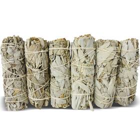 Bholi Sage Plus 617285399035 White Sticks Pack Of 6 Smudge Kit 4ftft Long Dried For M Bholi Sage Plus 617285399035 White Sticks Pack Of 6 Smudge Kit 4ftft Long Dried For M