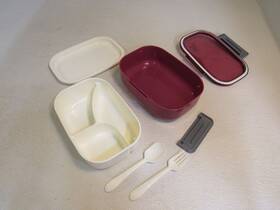 194-020222 Bibury Lunch Box Set Kit 8.5in X 6in 3in Rose/cream