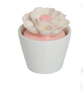 Sc901 Bluzen Sku#sc901 Oil Diffuser Kit Desert Flower Ceramic New Included