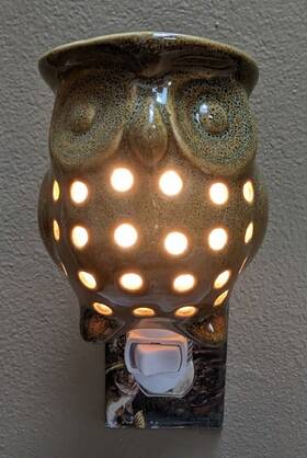 Candle Warmers 833245003471 Pluggable Fragrance Warmer Green Owl Wax Open Box Gift