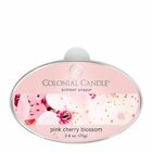 Ccsnaps.1915 Mvp Colonial Candle Pink 048019640572