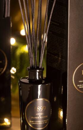 Cereria Molla 1899 424405077603 Gold Edition Reed Diffuser Ginger And Orange Blossom 3.4oz. New