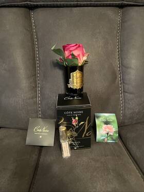Gms13 Cote Noire - Parfum De Maison Room Spray Rose Petal 15ml Perfume Flower Roses