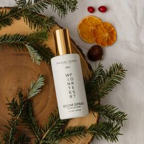 Ds5rs-006 Daniel Stone Winter Forest Room Spray 5 Oz