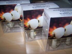 Dpnamron 885443356941 Lot Of 6 Bath And Body Works Marshmallow Fireside Wallflower Home Fragrance