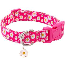 Don006-xs Faygarsle Cotton Dog Collar Cute Collars For Small Medium Large Dogs Hot