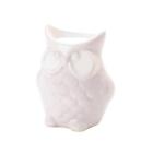 10018757 Fragrance Foundry Friendly Owl Oil Warmer