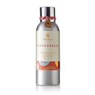 0550560100 Fragrance Thymes Room Home Gingerbread Spray Mist
