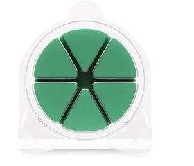 Goose Creek Candles 810079825479 Harry Potter Slytherin Scented Wax Melts 2.1oz Wizarding World
