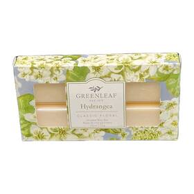 Greenleaf 038864304637 Hydrangea Scented Wax Bar 2.6 Oz 6 Blocks New Classic Floral