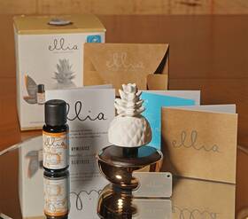 Homedics 031262088994 Ellia Pure Pineapple Porcelain Aroma Diffuser Non-electric Discontinued