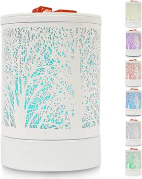Homewoo 313111666677 Enaroma Scented Oil Wax Melt Warmer With 7 Colors Changing Led Light White Fore