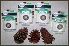 Jolly Pine Limited Edition Febreze Febreeze Set Refresh 4 Air Freshener Holders W Refills New 037000870166