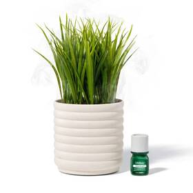 90783441 Lifelines Planter Diffuser - Bubble White