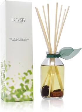 Lovspa 688039940841 Reed Diffuser Set Cinnamon Pine Cones Scented Oil With Sticks