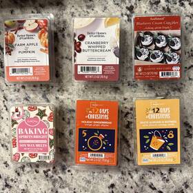 Mainstays 047485105455 Scentsational/mainstay Wax Melts 12 Days Of Christmas Holiday Variety Lot 6