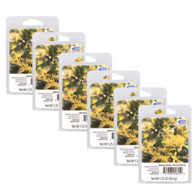 126789 Mainstays Wild Honeysuckle Wax Melts 6-pack