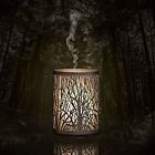 201603 Mgi Enduring Decor Forest 756789394419