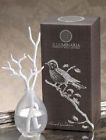 Mp-q-cot-14 Zodax Illuminaria Porcelain Room