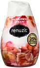 N-a Renuzit Adjustables Gel Air Freshener Wildflower Dream Ounce 785923008974